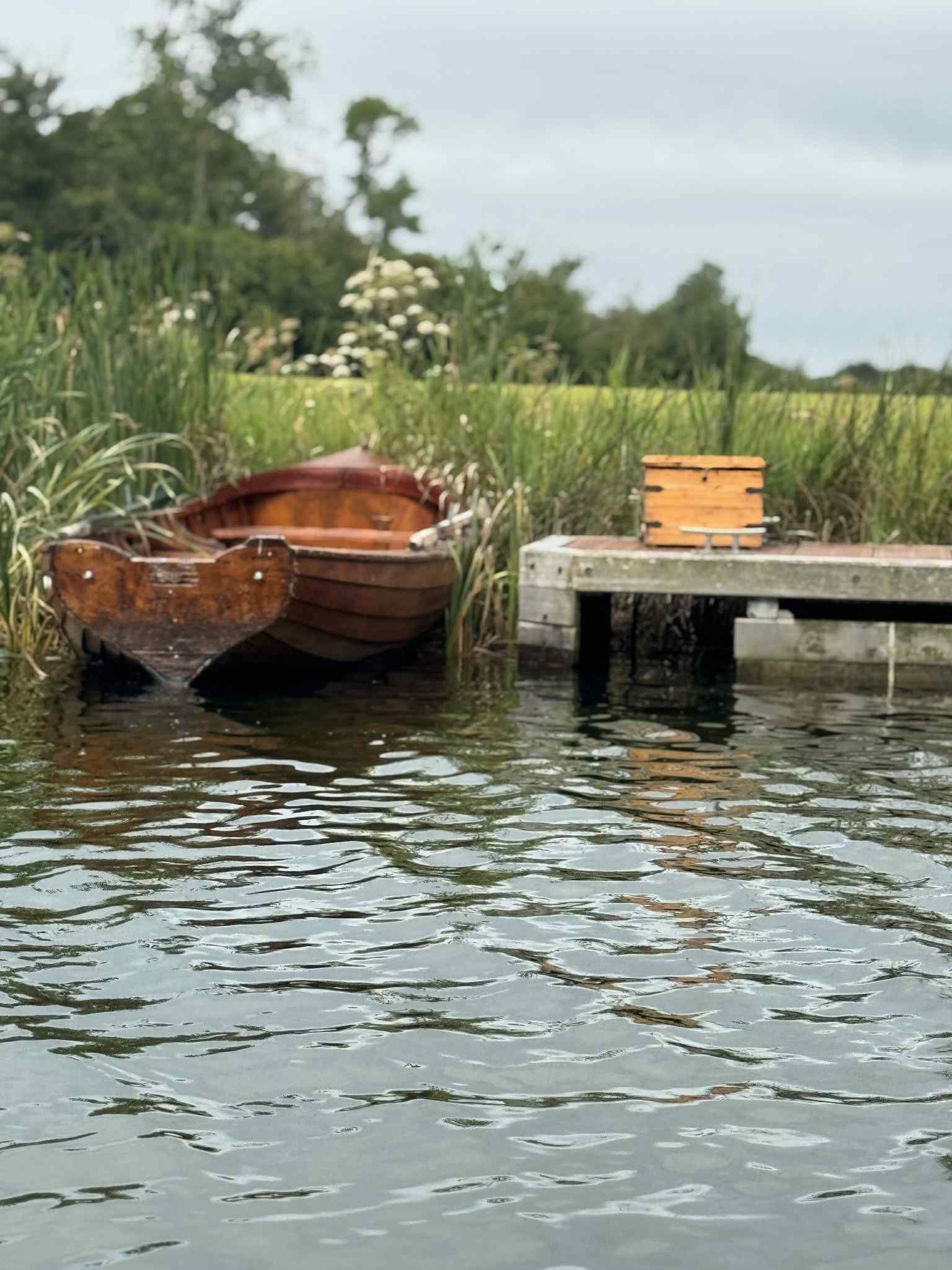 A Birthday, a Beginning, and a Year of Hand-Picked Magic - Handpicked By Heidi